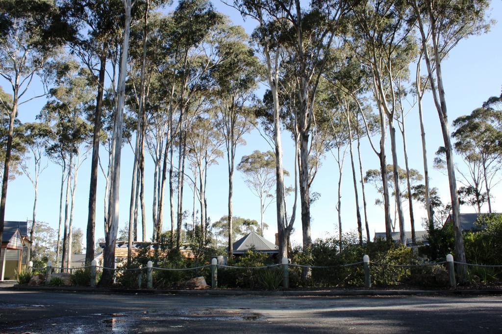 Waverley House Cottages Lakes Entrance Eksteriør bilde